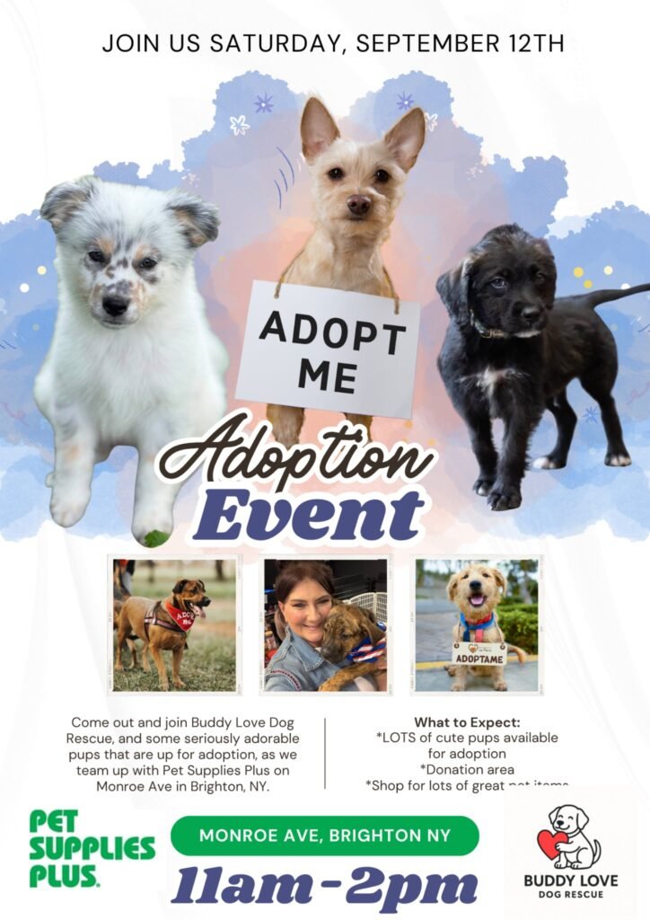 Adoption Event flyer