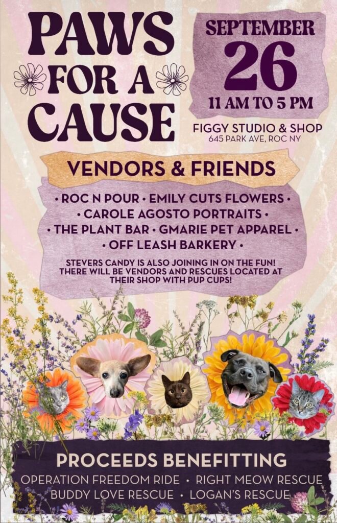 Paws for a Cause flyer